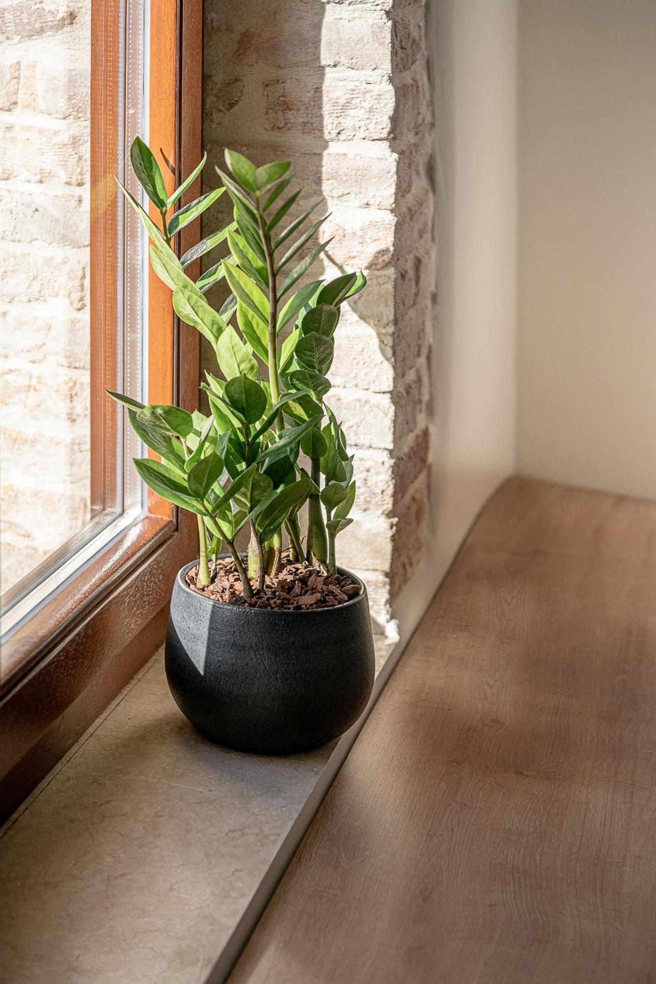 Ethos Suites Chania  Værelse billede